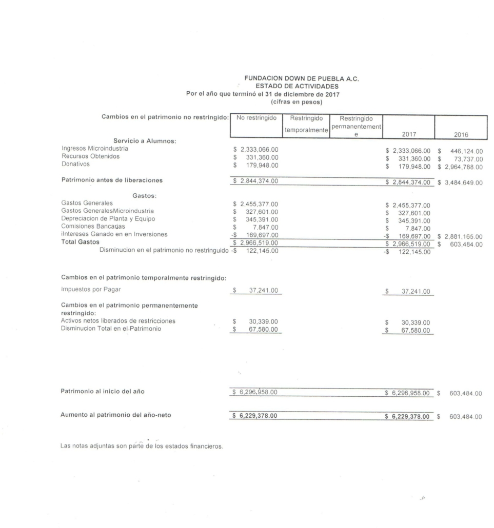 ESTADO-DE-ACTIVIDADES-2017-e1556294194987